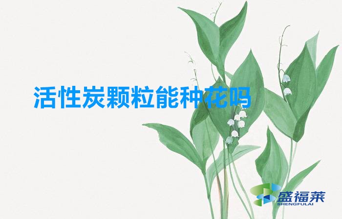 活性炭颗粒能种花吗(活性炭怎么用来养花)