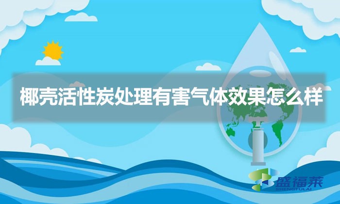 椰壳活性炭处理有害气体效果怎么样（椰壳活性炭能否用来处理有害气体）