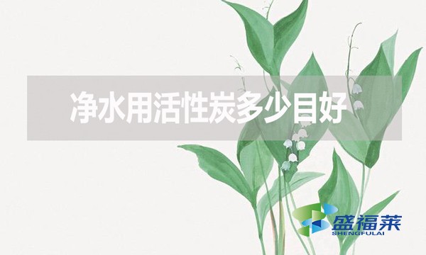 净水用活性炭多少目好？有哪些优缺点？