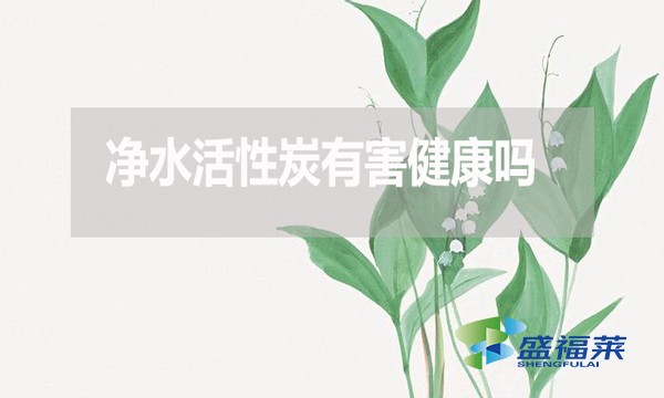 净水活性炭有害健康吗？