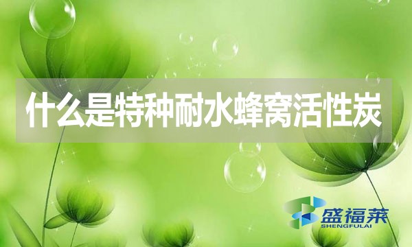 什么是特种耐水蜂窝活性炭？哪里能用到？